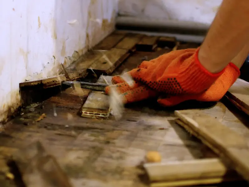 Mold abatement and prevention San Bernardino CA